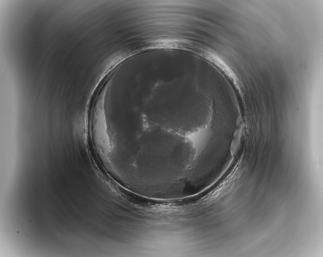 X0000094350994200711021429