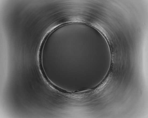 X0000094350995200711021429