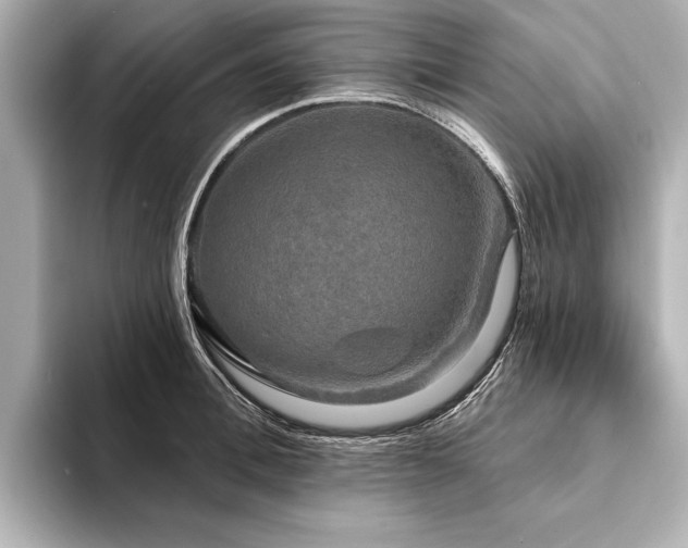 X0000094350996200711021429