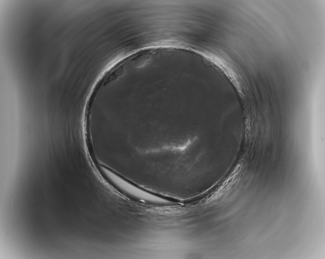 X0000094350998200711021429