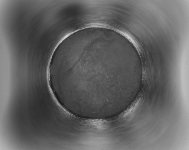 X0000094350999200711021429