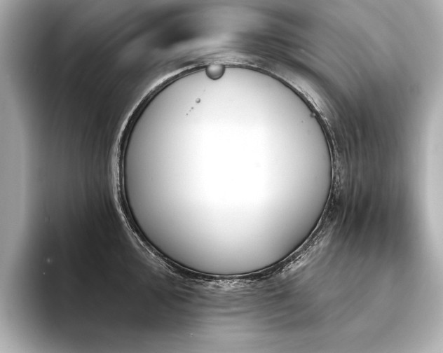 X0000094351000200711021429