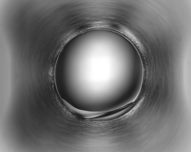 X0000094351001200711021429