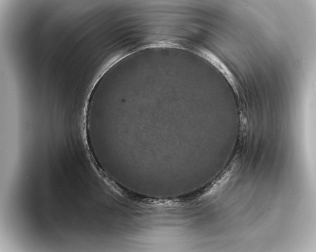 X0000094351002200711021429