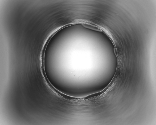 X0000094351003200711021429
