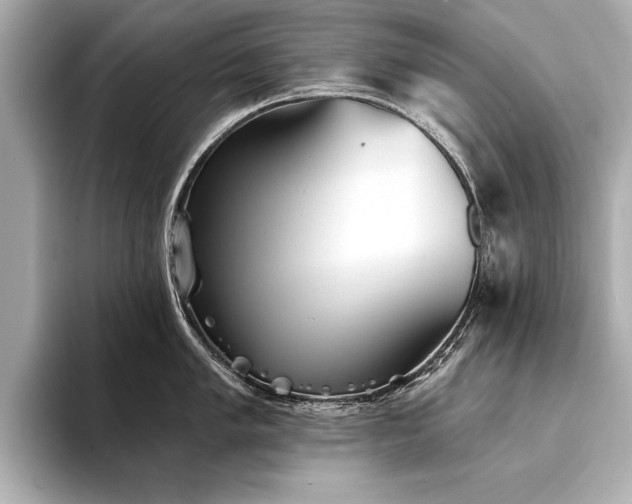 X0000094351005200711021429