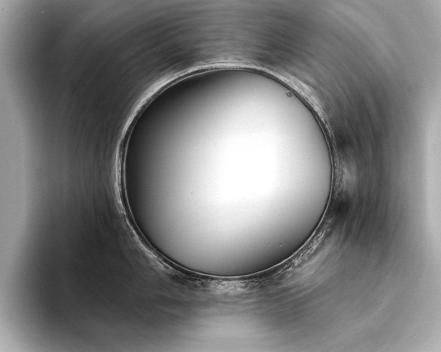 X0000094351006200711021429