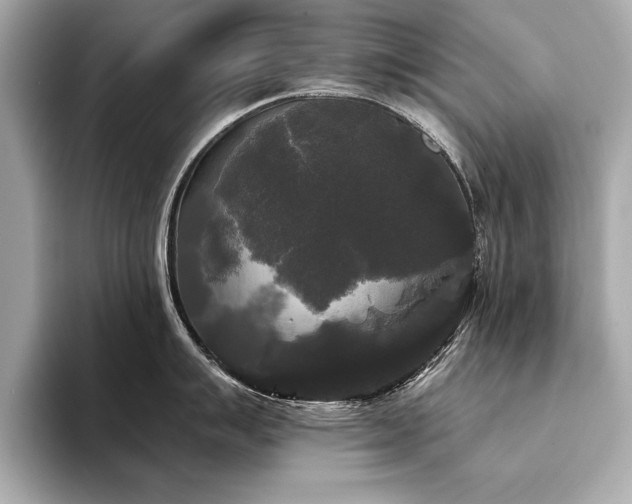 X0000094351007200711021429