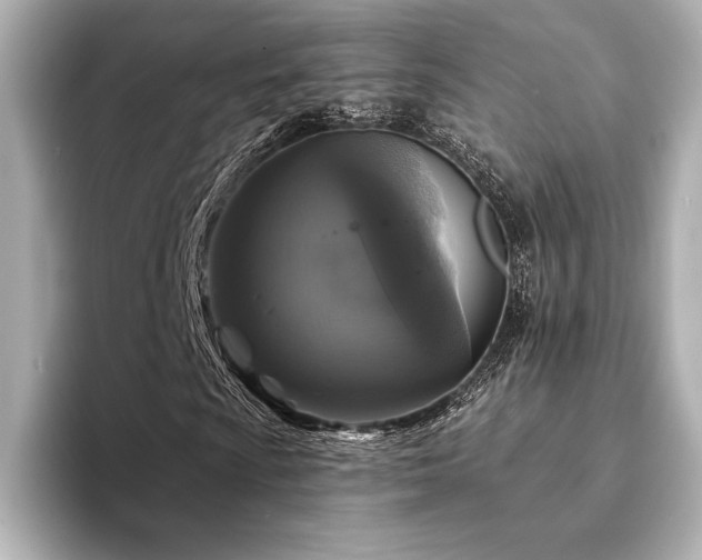 X0000094351009200711021429