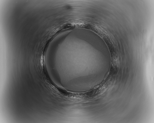 X0000094351010200711021429