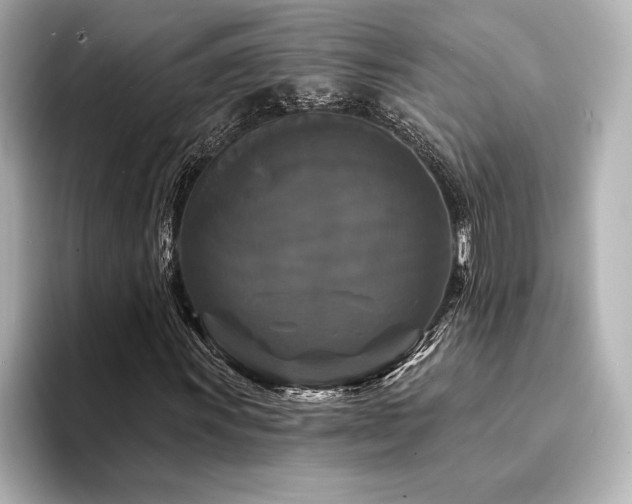 X0000094351011200711021429