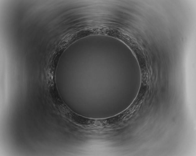 X0000094351013200711021429