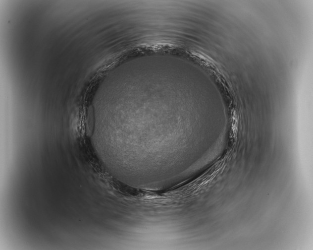 X0000094351014200711021429