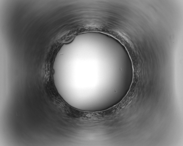 X0000094351015200711021429