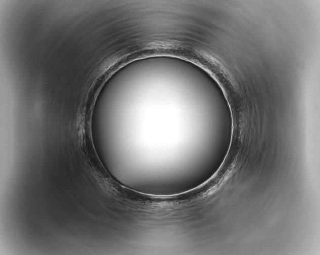 X0000094351017200711021429