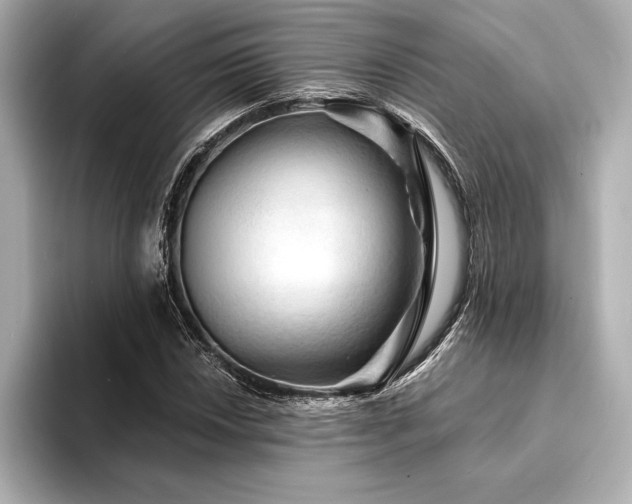 X0000094351018200711021429