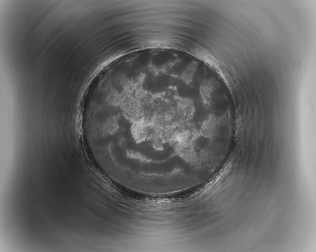 X0000094351019200711021429