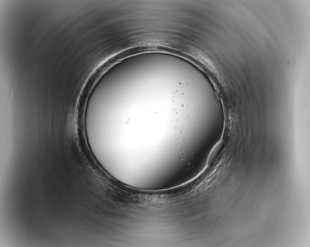 X0000094351020200711021429