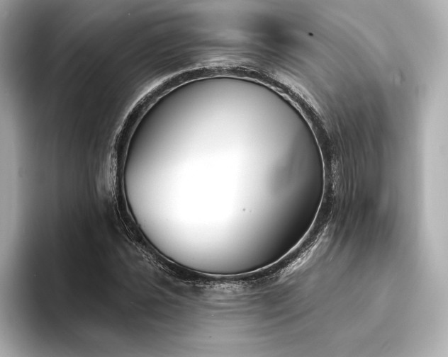 X0000094351021200711021429