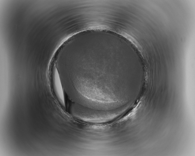 X0000094351022200711021429
