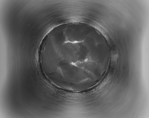 X0000094351023200711021429