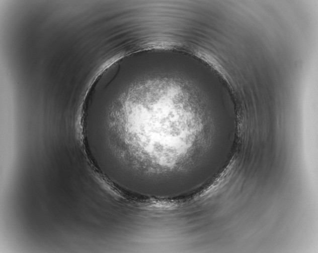X0000094351026200711021429