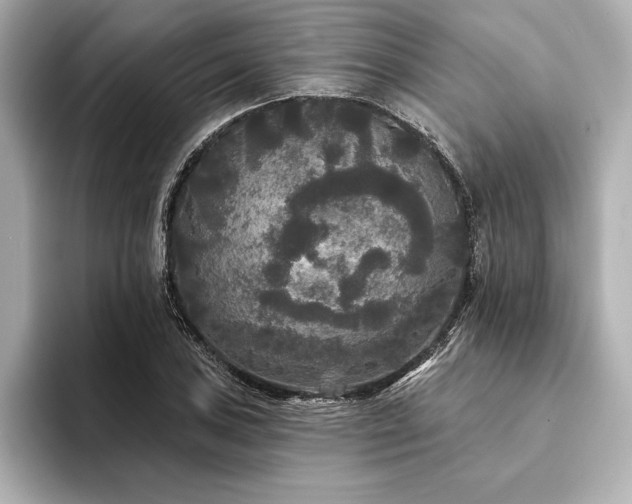 X0000094351027200711021429