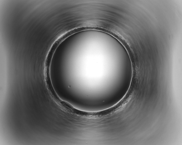 X0000094351029200711021429