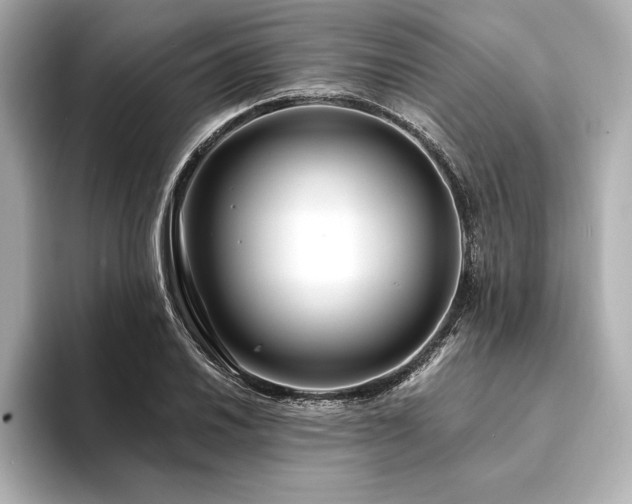 X0000094351030200711021429