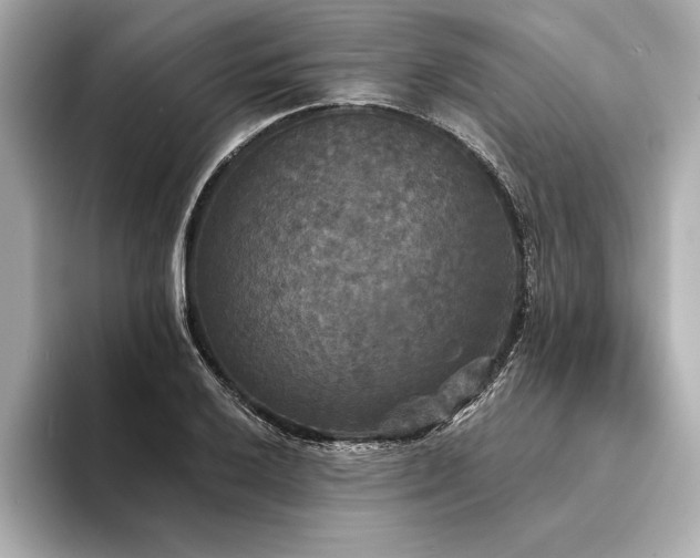 X0000094351032200711021429
