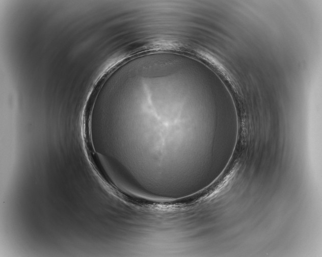 X0000094351034200711021429