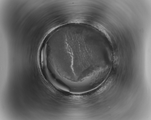 X0000094351035200711021429