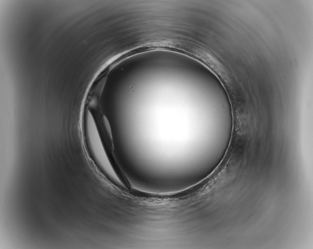 X0000094351036200711021429