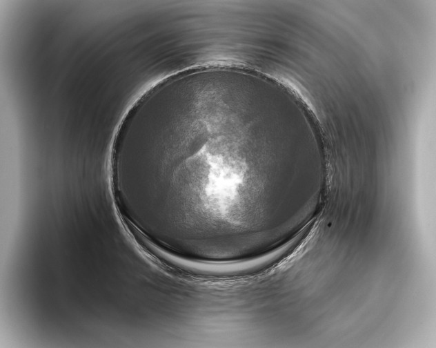 X0000094351038200711021429