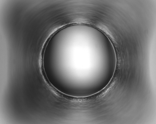 X0000094351040200711021429