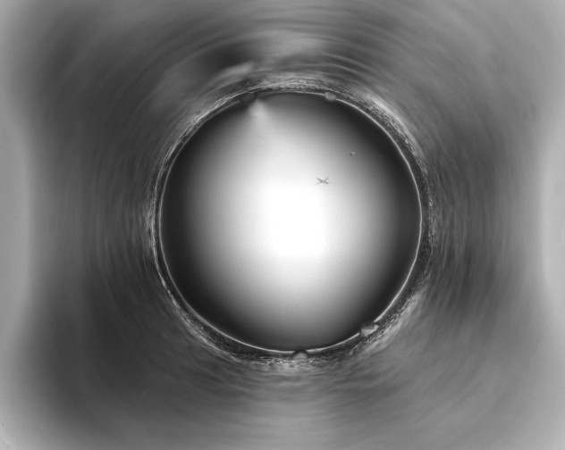 X0000094351041200711021429