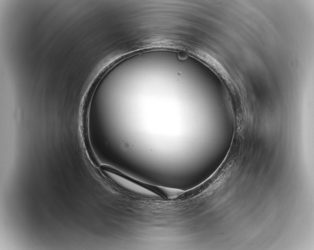 X0000094351043200711021429