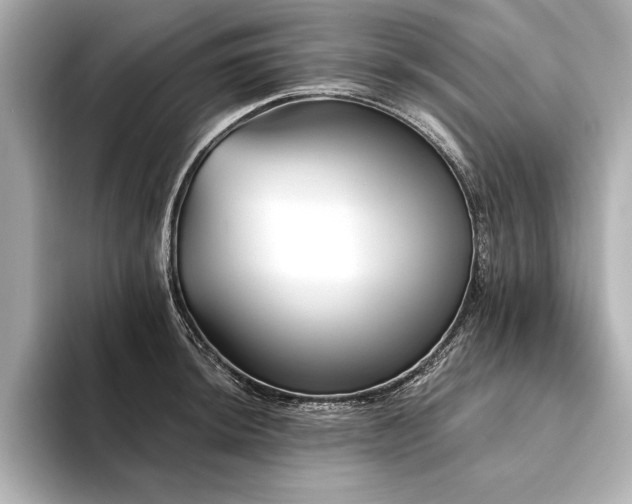 X0000094351044200711021429