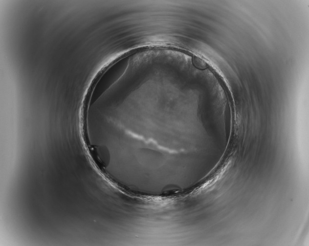 X0000094351045200711021429