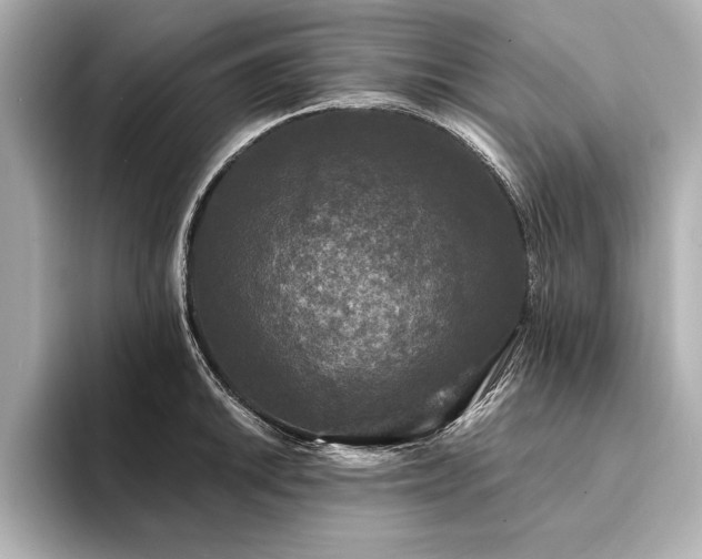 X0000094351046200711021429