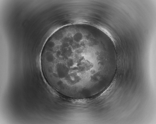 X0000094351047200711021429