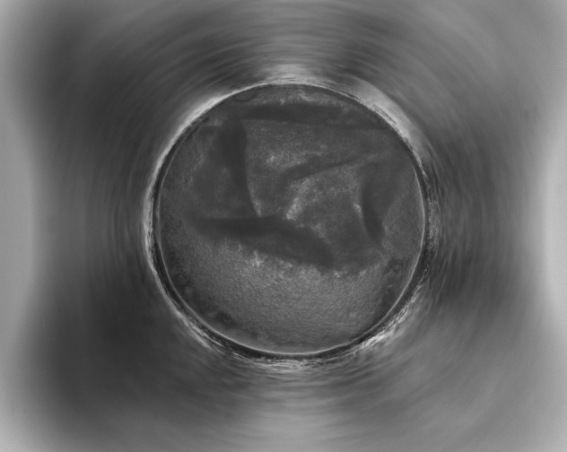 X0000094351048200711021429