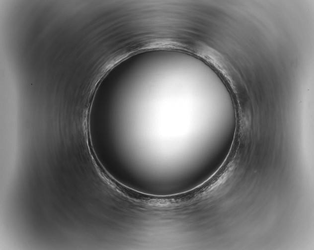 X0000094351049200711021429