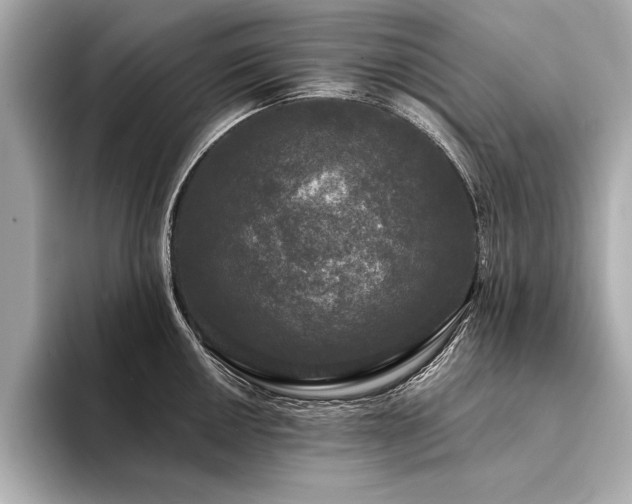 X0000094351050200711021429