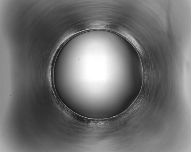 X0000094351051200711021429