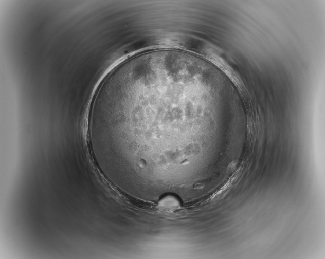 X0000094351052200711021429