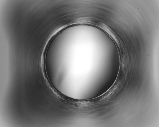 X0000094351053200711021429