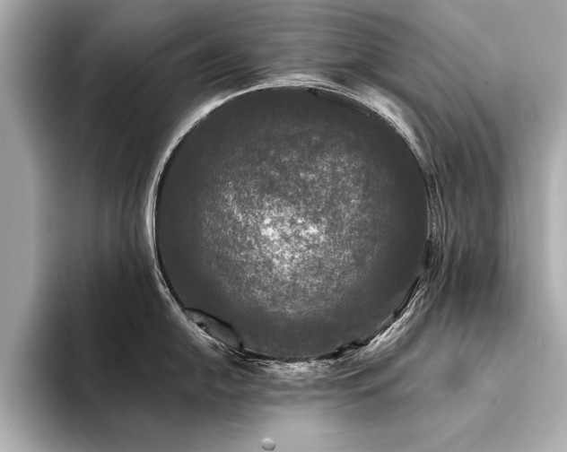 X0000094351054200711021429