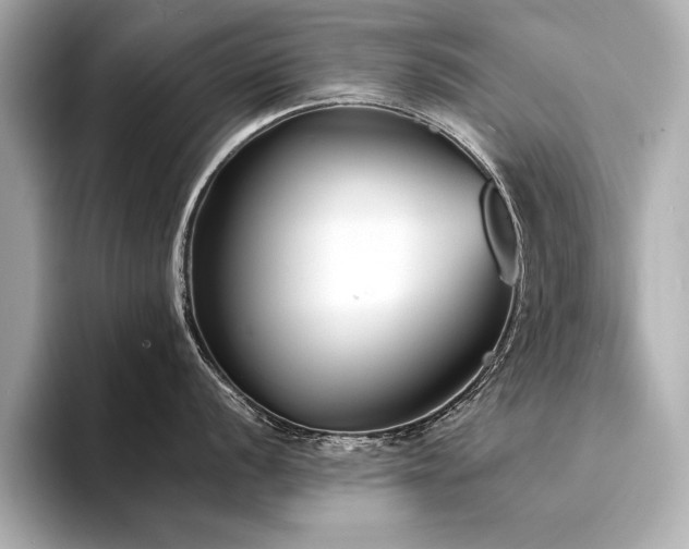 X0000094351056200711021429