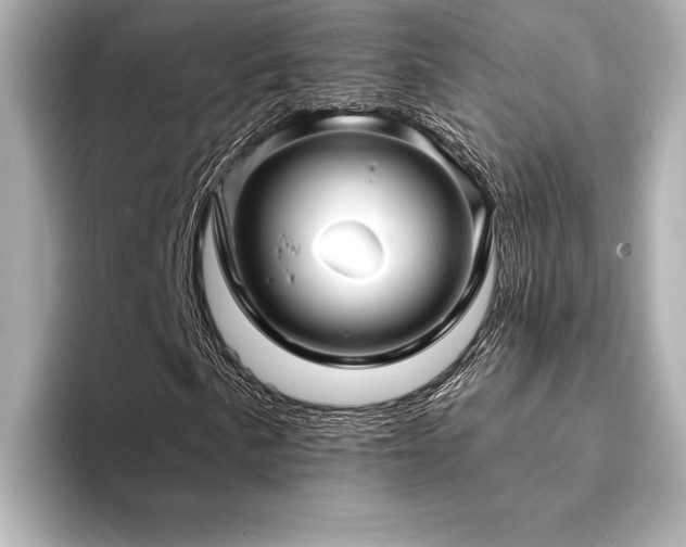 X0000094351057200711021429
